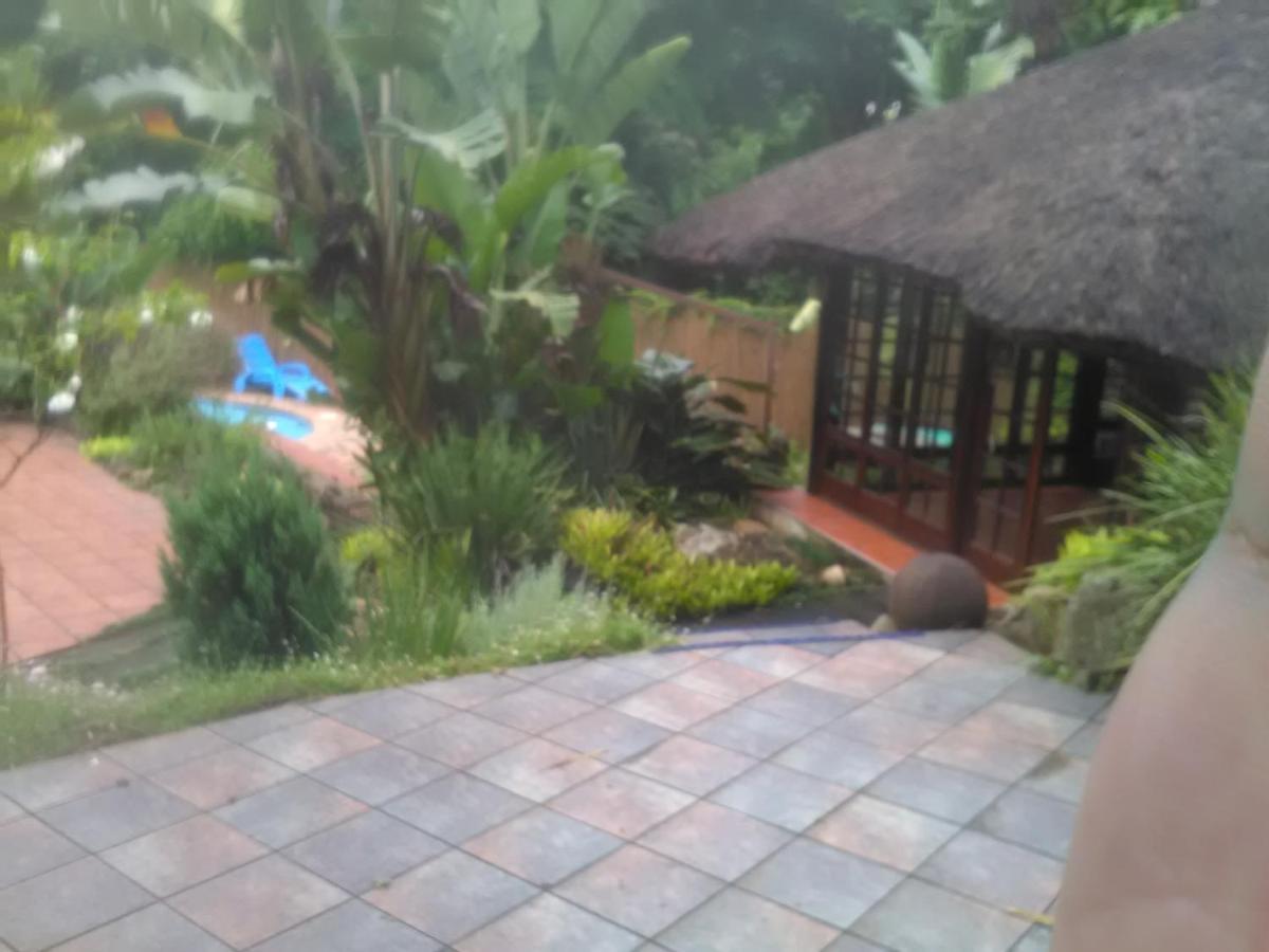 Thrush Nest Durban Bed and Breakfast Pinetown Εξωτερικό φωτογραφία