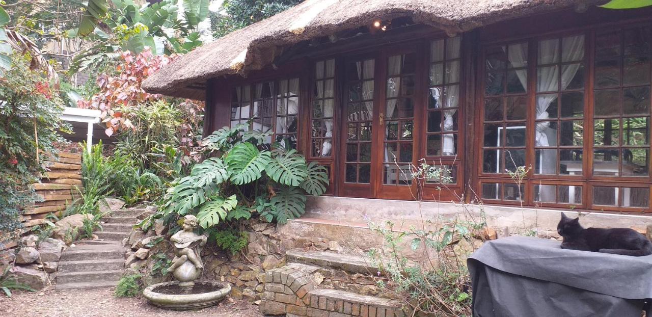 Thrush Nest Durban Bed and Breakfast Pinetown Εξωτερικό φωτογραφία