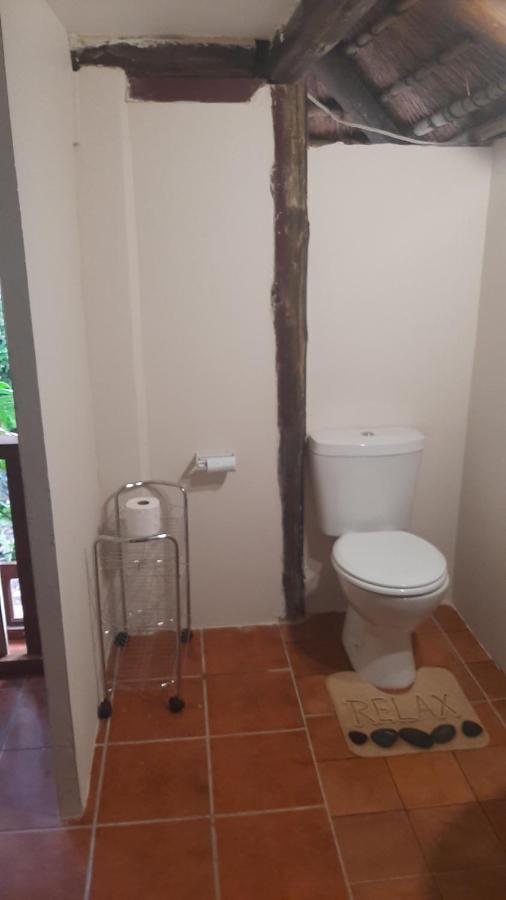 Thrush Nest Durban Bed and Breakfast Pinetown Εξωτερικό φωτογραφία